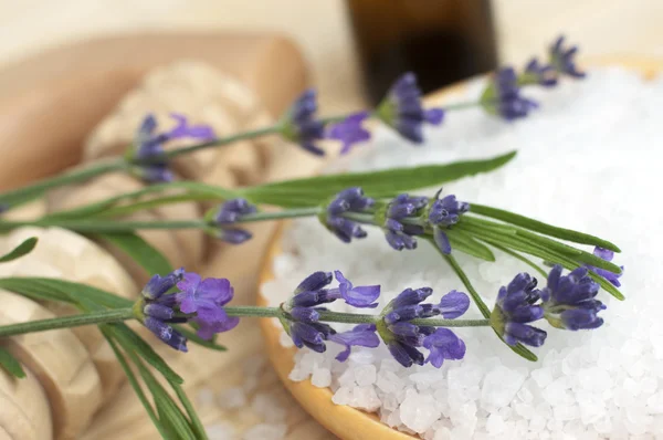 Kom met verse lavendel badzout — Stockfoto