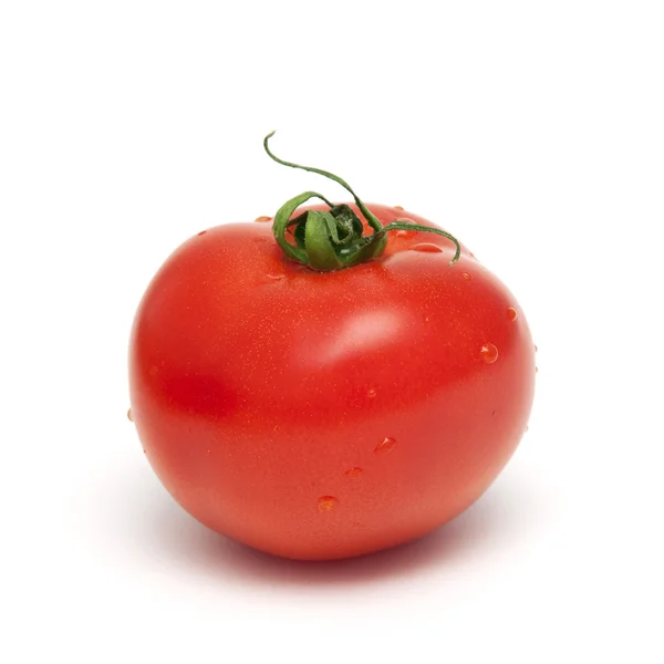 Červené rajče — Stock fotografie