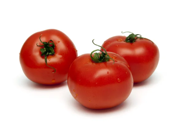 Red tomatos — Stock Photo, Image