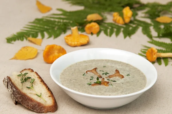 Zupa z świeżych grzybów i kurkami — Zdjęcie stockowe