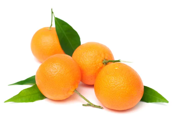 Verse mandarijnen met groene bladeren geïsoleerd op witte achtergrond — Stockfoto