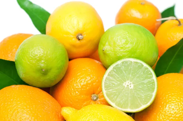 Set of different fresh citrus fruits, isolated on white — Stock Photo, Image