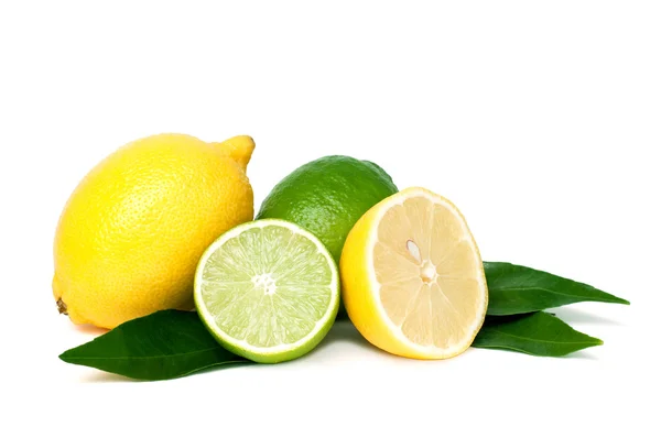 Citroner och limefrukter Stockfoto