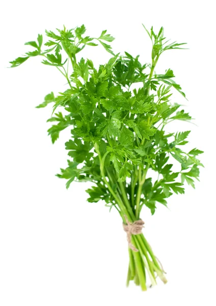Bunch of fresh parsley — Stock Photo, Image