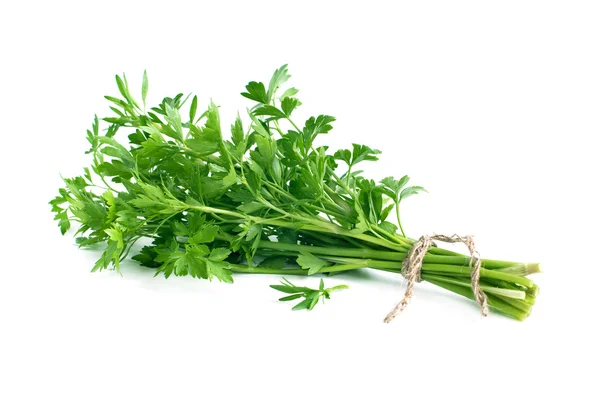 Fresh parsley — Stock Photo, Image