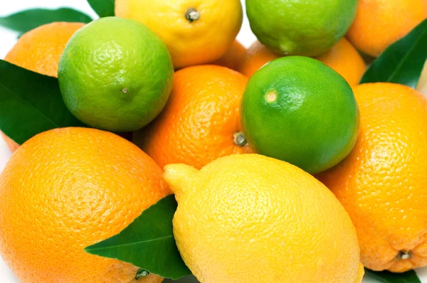 Citrus fruits — Stock Photo, Image