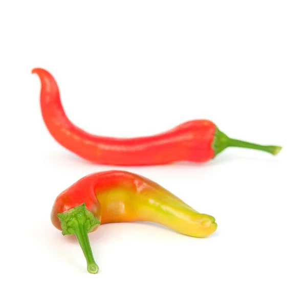 Pimentos vermelhos — Fotografia de Stock