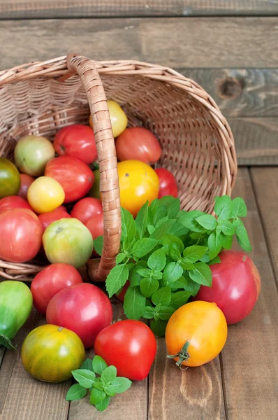 Tomatoes and basil — Stock Photo, Image