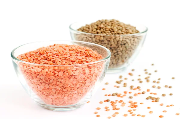 Kırmızı ve yeşil mercimek