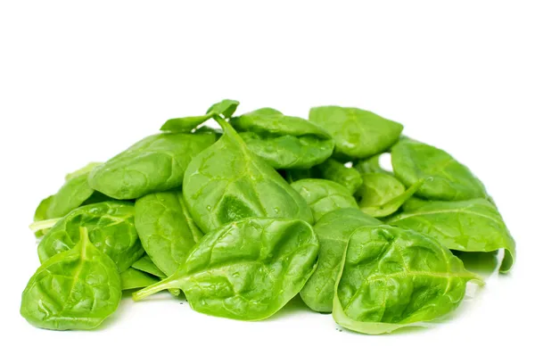 Baby spinach — Stock Photo, Image