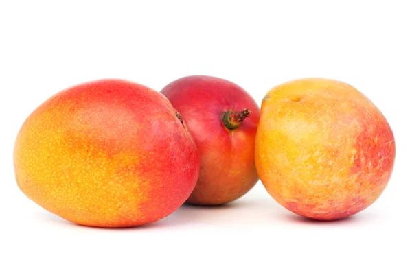 Mango gyümölcs — Stock Fotó