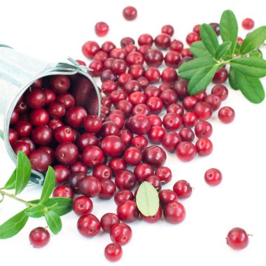 Organik yabanmersini