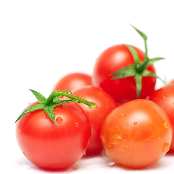 Organické rajčata — Stock fotografie