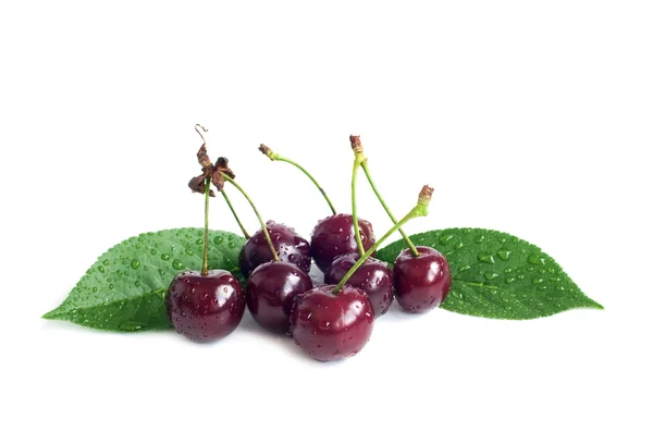 Organic cherry — Stock Photo, Image