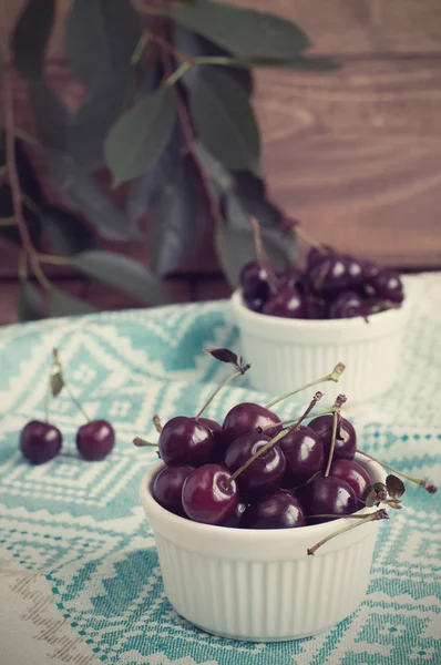 Cherry in retro style — Stock Photo, Image