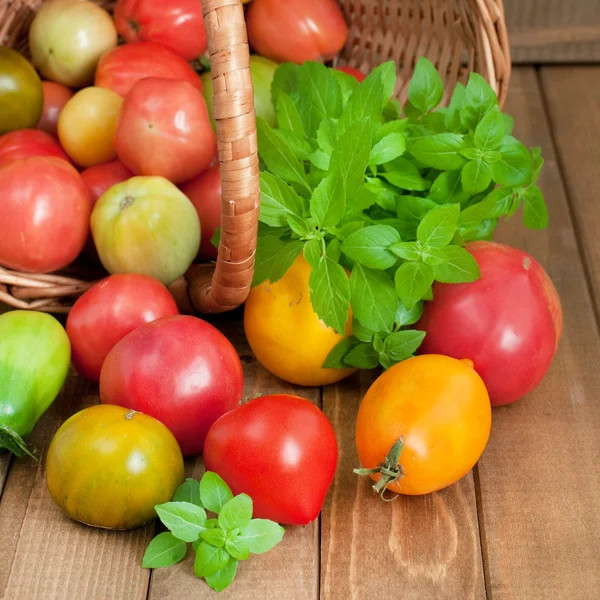 Tomatoes and basil — Stock Photo, Image