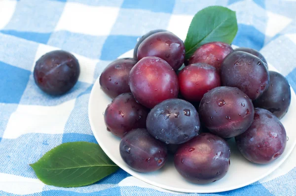 Organic plums — Stock Photo, Image