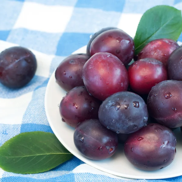 Organiczne śliwki — Zdjęcie stockowe