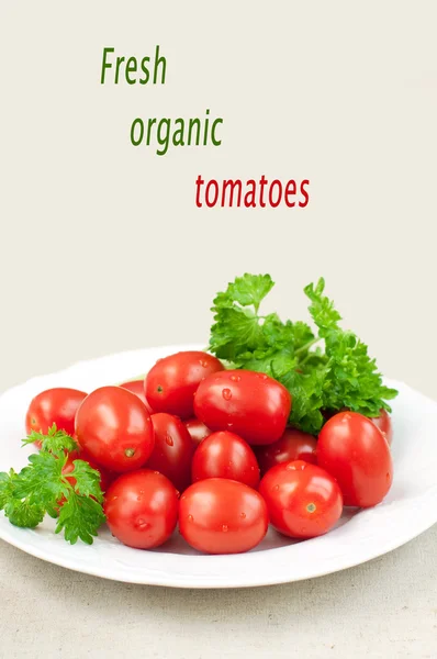 Organické rajčaty a petrželkou — Stock fotografie
