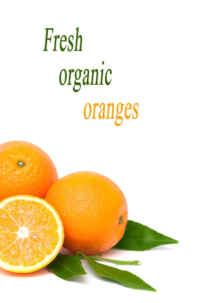 Orange — Stock Photo, Image