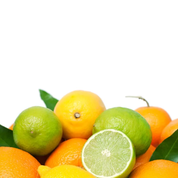 Citrus fruits — Stock Photo, Image