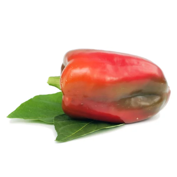 Organic paprika — Stock Photo, Image