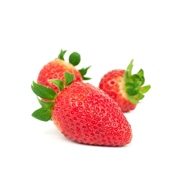 Ekologiczne strawberriy — Zdjęcie stockowe