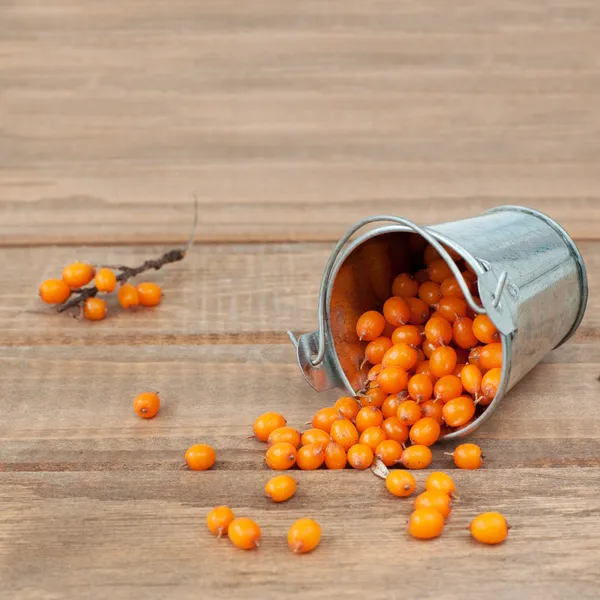 Organic sea-buckthorn — Stock Photo, Image