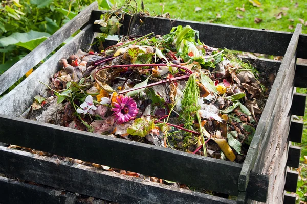 Poubelle à compost — Photo