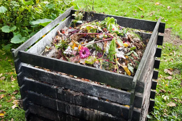 Tempat sampah kompos — Stok Foto