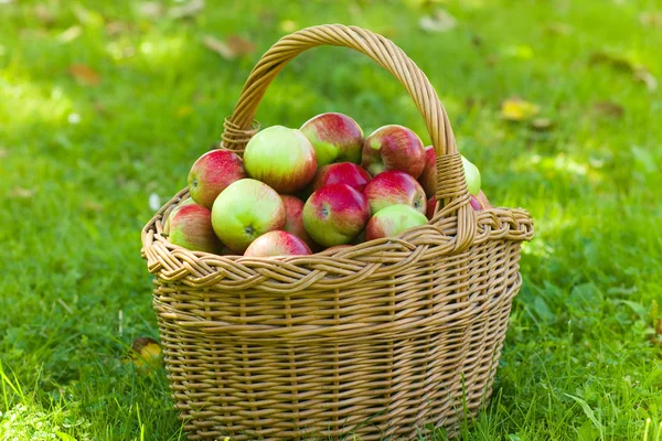 Manzanas — Foto de Stock