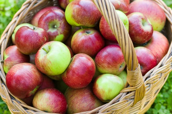 Manzanas frescas — Foto de Stock