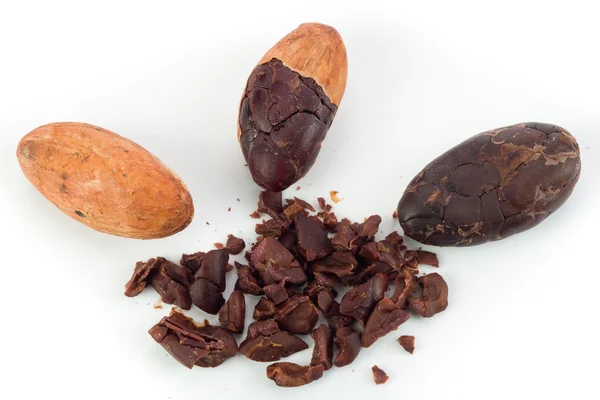 Cocoa beans — Stock Photo, Image