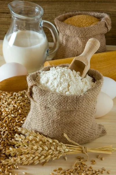 Orejas de trigo y harina — Foto de Stock
