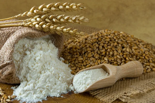 Пшеничне зерно та борошно — стокове фото