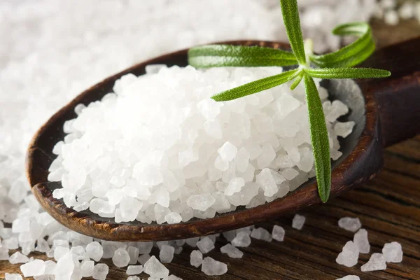 Sea salt och rosmarin — Stockfoto