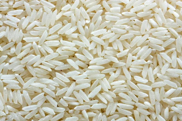 Arroz — Foto de Stock