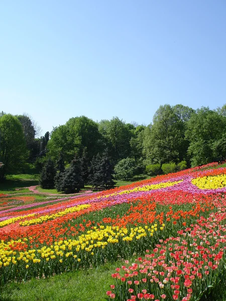 Spring park — Stockfoto