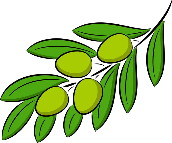 Olive branch — Stockvector