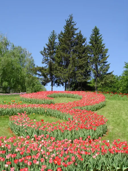 Parque de primavera — Foto de Stock