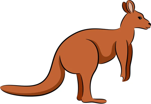 Kangaroo — Stock Vector