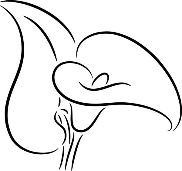 Fleur Calla Avec Feuille Isolée — Image vectorielle