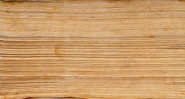 eski kitap kağıdı arka plan, makro ikiye katlanmış omurga sayfaları