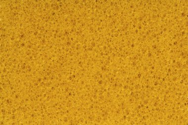 Sponge, Porouse foam texture background, bubble macro of fungous spong bast fiber