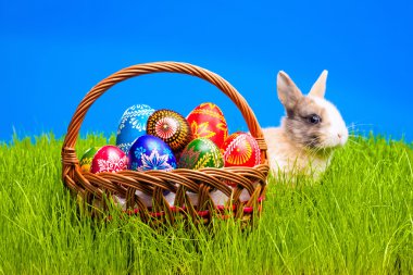 Paskalya yumurtası ve tavşan sepet içinde