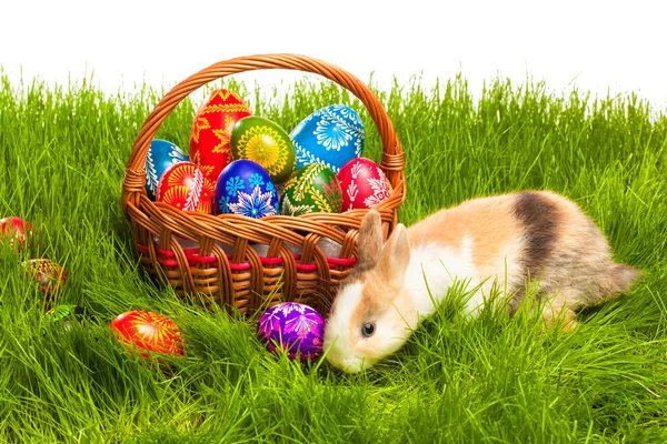 复活节彩蛋和在篮子里的小兔子 — 图库照片