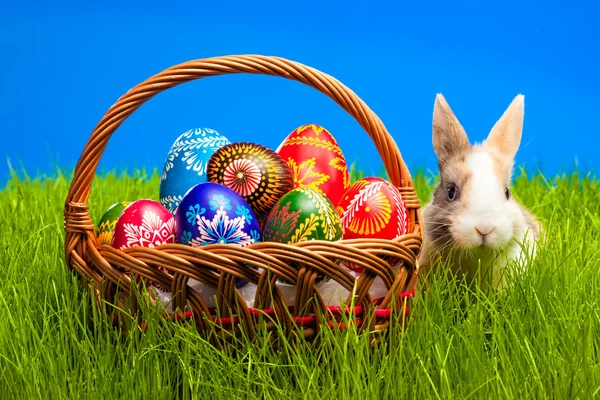 Uovo di Pasqua e coniglietto nel cestino — Foto Stock