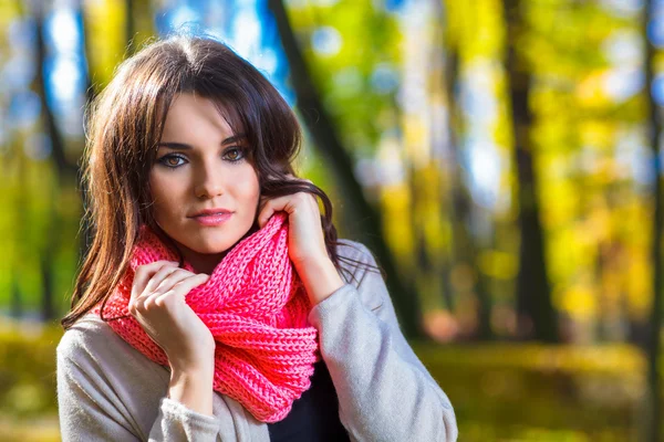 Herfst is gekomen. — Stockfoto