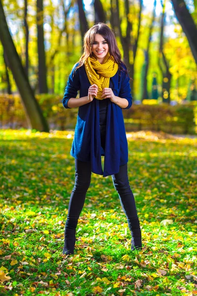 Herfst is gekomen. — Stockfoto