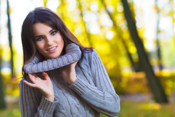 El otoño ha llegado. . — Foto de Stock